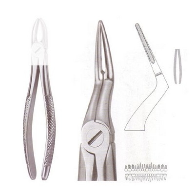 Extracting Forceps